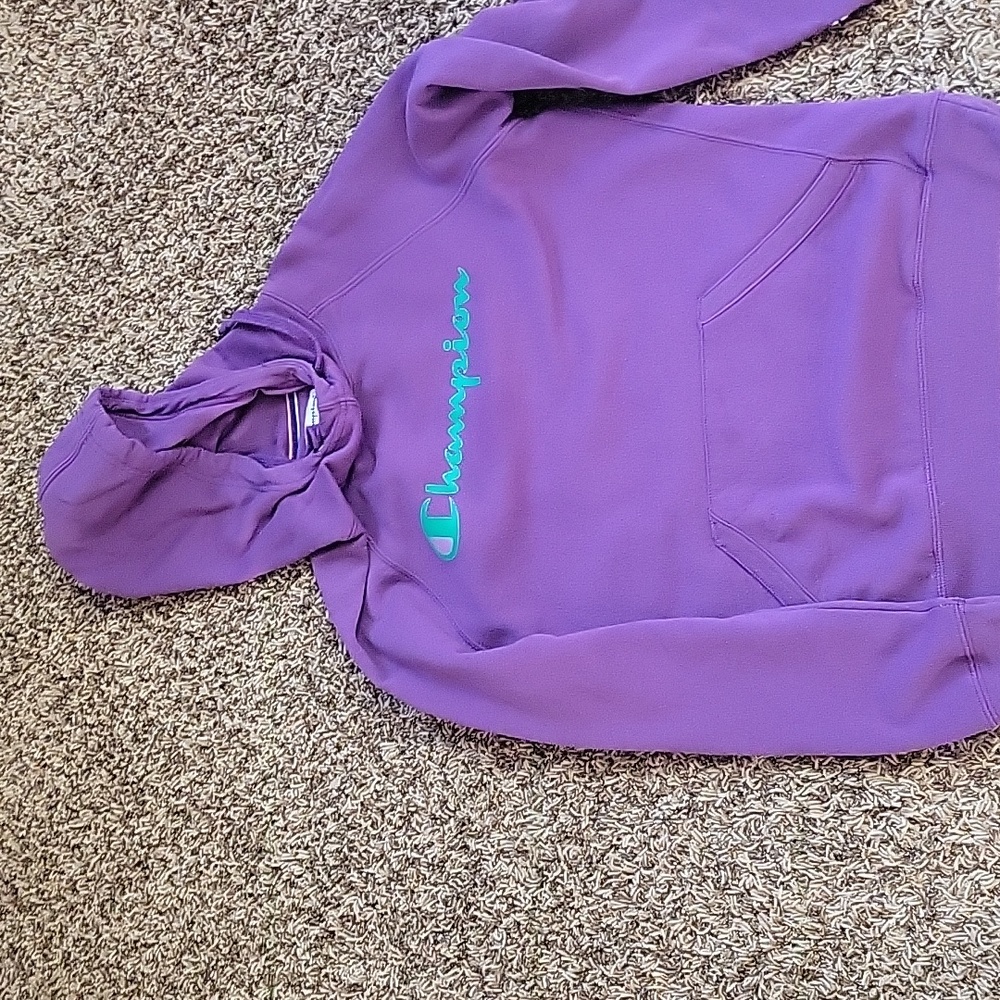 Small Champion Hoodie